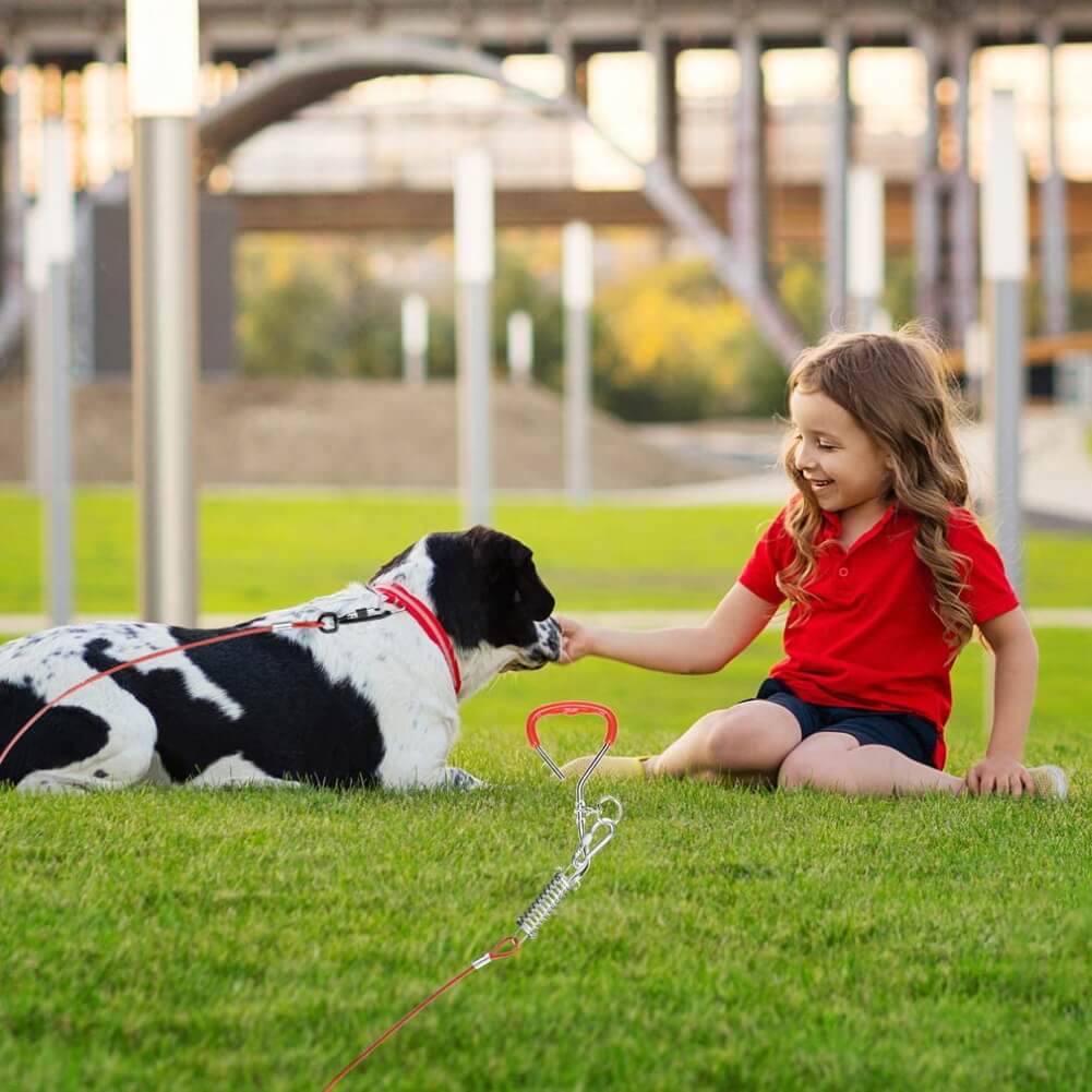 Dog Stake and Cable for Beach, Camping, Outdoor
