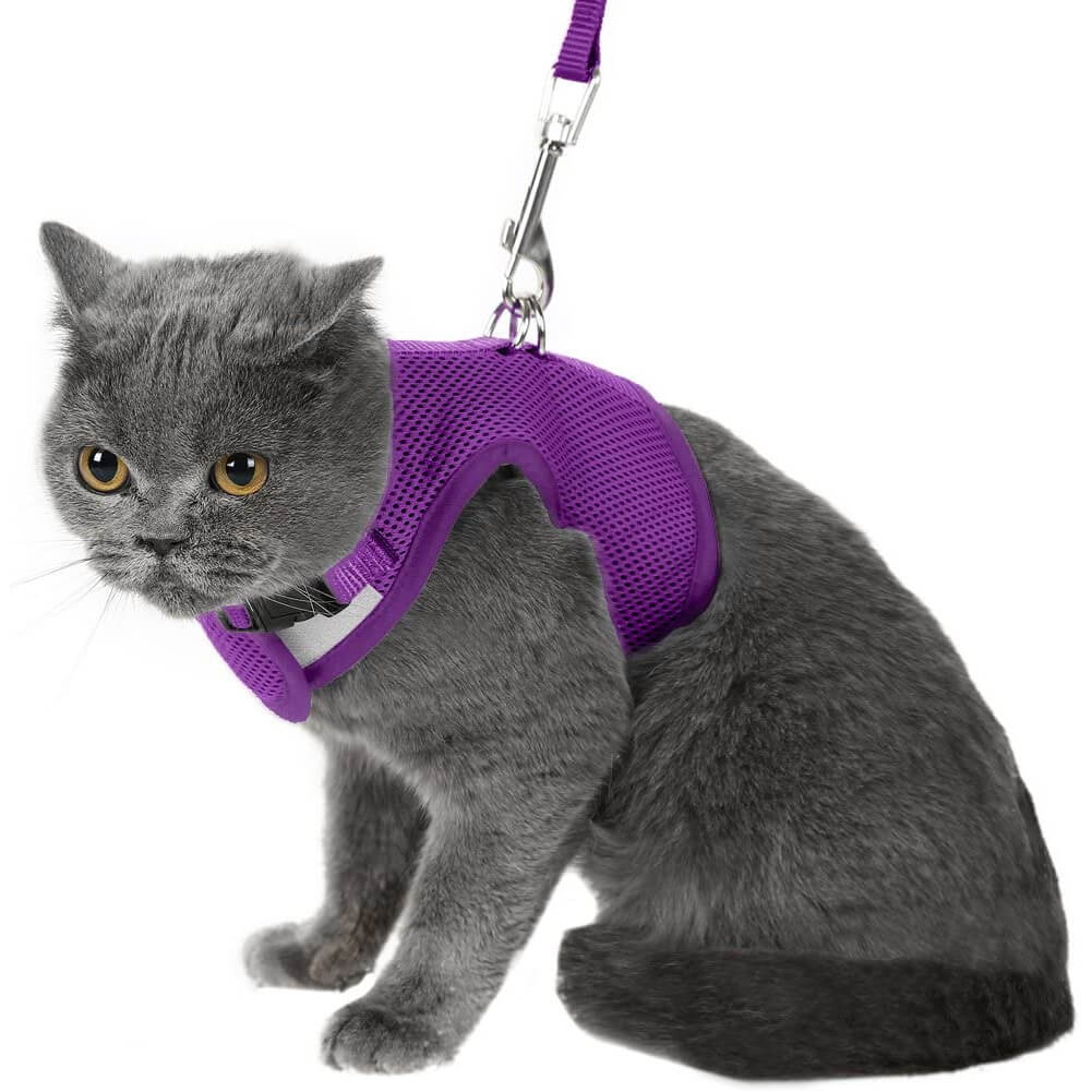 Pet Vest Harness for Cat Small Dogs