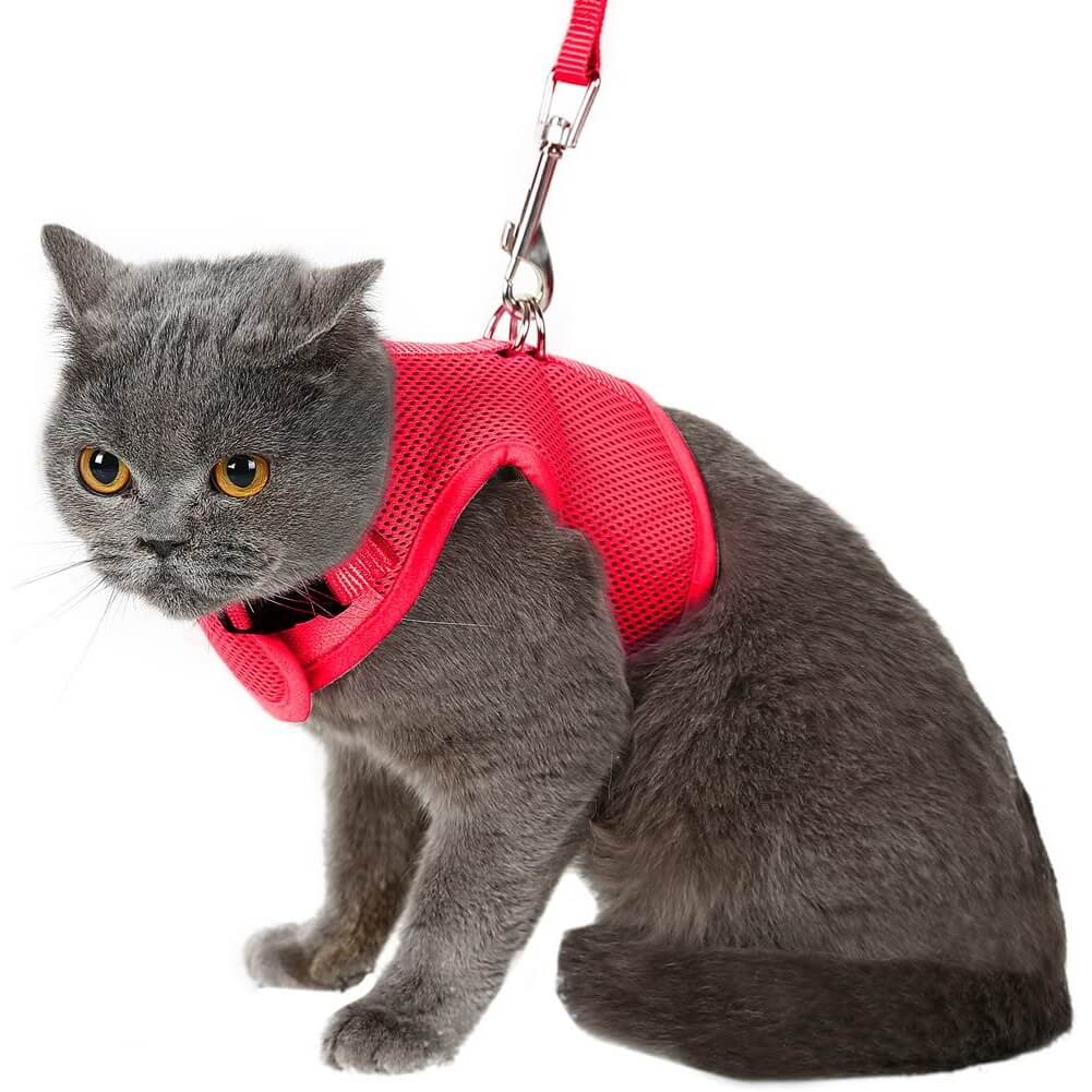Pet Vest Harness for Cat Small Dogs