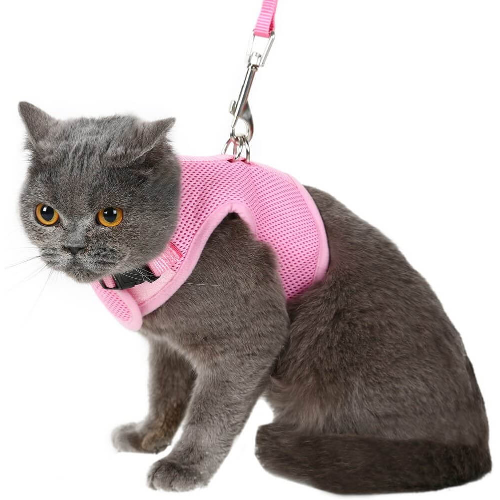 Pet Vest Harness for Cat Small Dogs