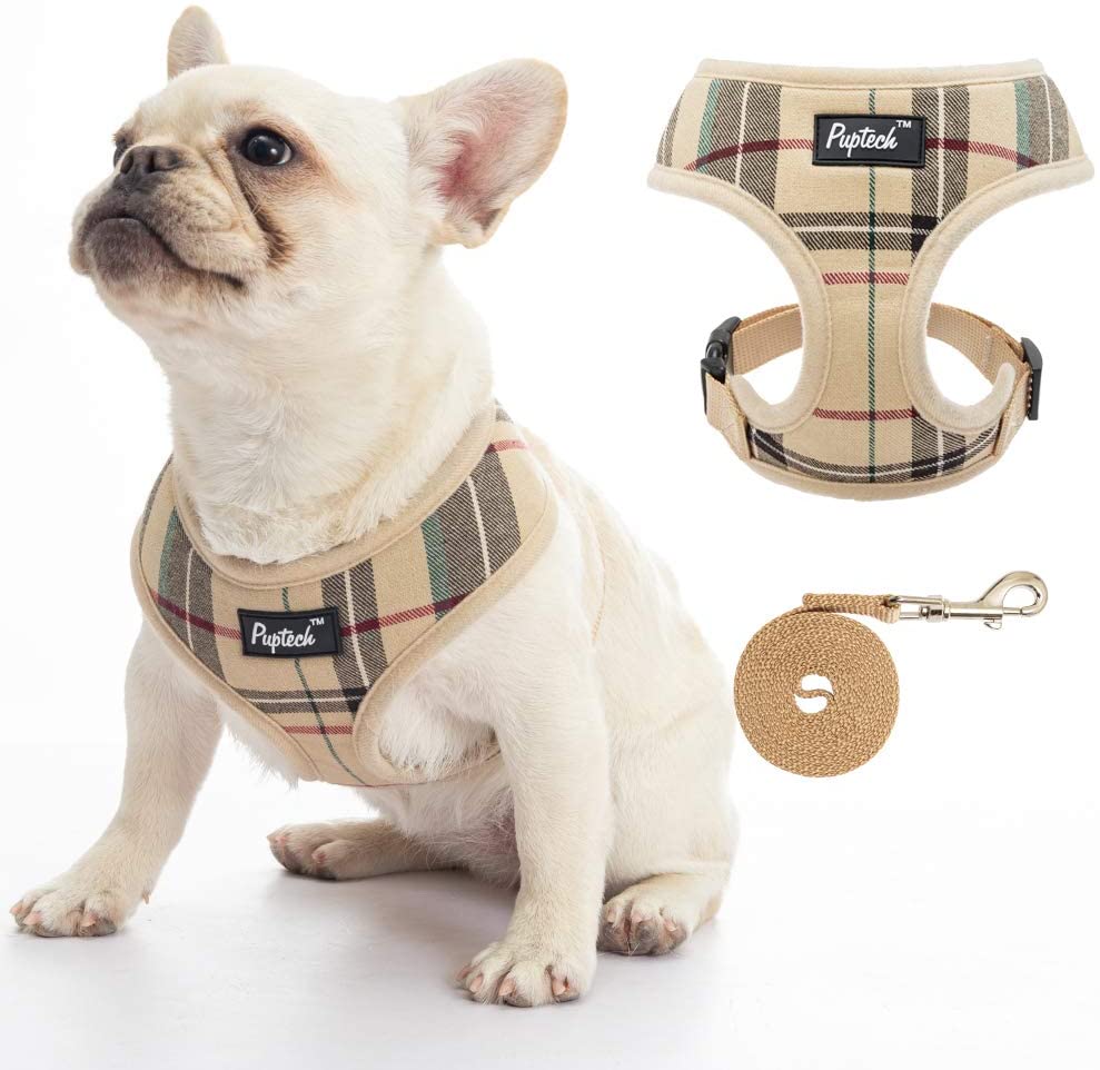 Dog Harnesses