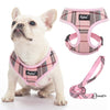 PUPTECK Soft Mesh Dog Harness and Leash Set Pet Puppy Cat Comfort Padded Vest No Pull Harnesses