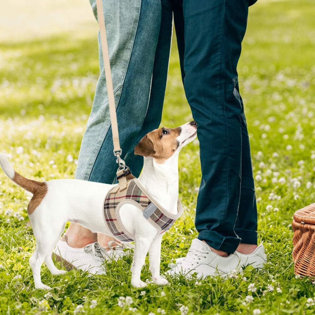PUPTECK Adjustable Dog Harness Collar and Leash Set Step in No Pull Pet Harness for Small Medium Dogs Puppy and Cats Outdoor Walking Running, Soft Mesh Padded Reflective Vest Harnesses