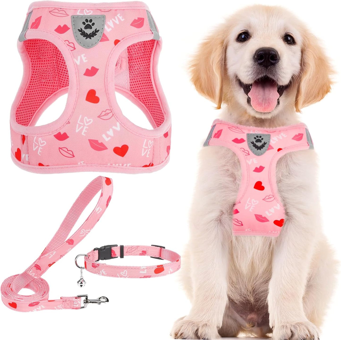 PUPTECK Adjustable Dog Harness Collar and Leash Set Step in No Pull Pet Harness for Small Medium Dogs Puppy and Cats Outdoor Walking Running, Soft Mesh Padded Reflective Vest Harnesses