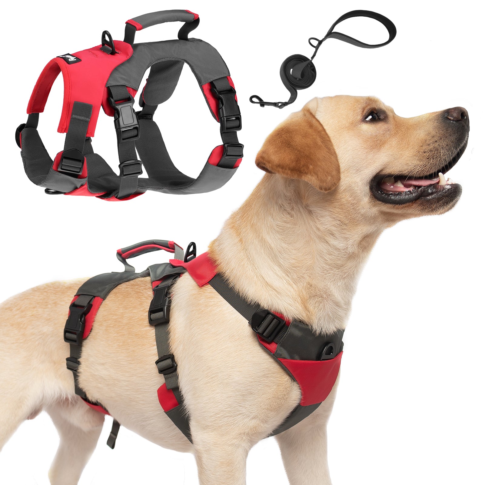 PUPTECK Escape Proof Dog Harness - No Pull Soft Padded Dog Vest Harness and  Double Handles Leash Set for Large Dogs Walking Training Hiking Hunting