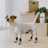 6 Pack Double-Side Anti-Slip Dog Socks