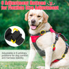 PUPTECK Escape Proof Dog Harness - No Pull Soft Padded Dog Vest Harness and Double Handles Leash Set for Large Dogs Walking Training Hiking Hunting