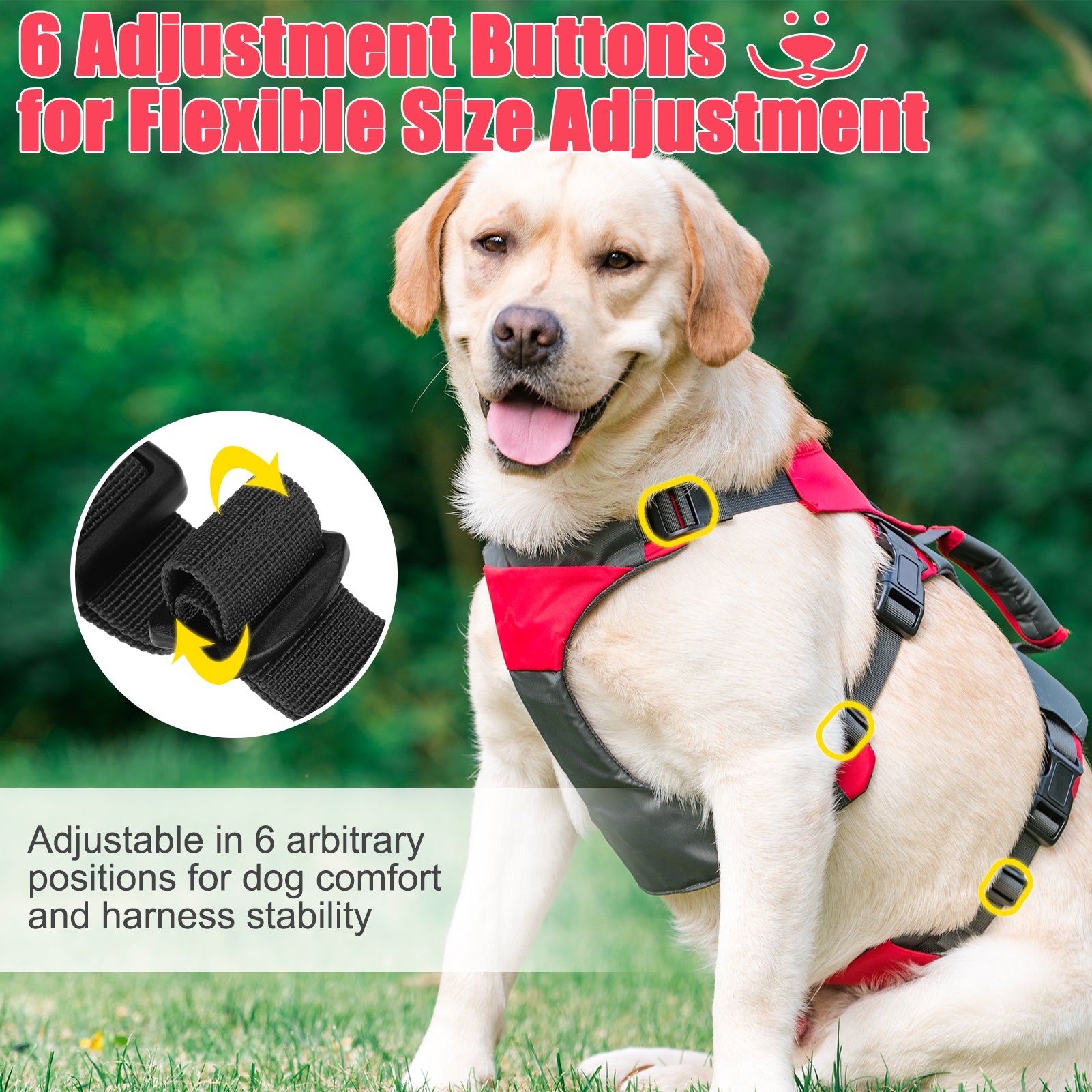 PUPTECK Adjustable Dog Harness Collar and Leash Set Step in No Pull Pet  Harness for Small Medium Dogs Puppy and Cats Outdoor Walking Running, Soft