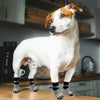 6 Pack Double-Side Anti-Slip Dog Socks