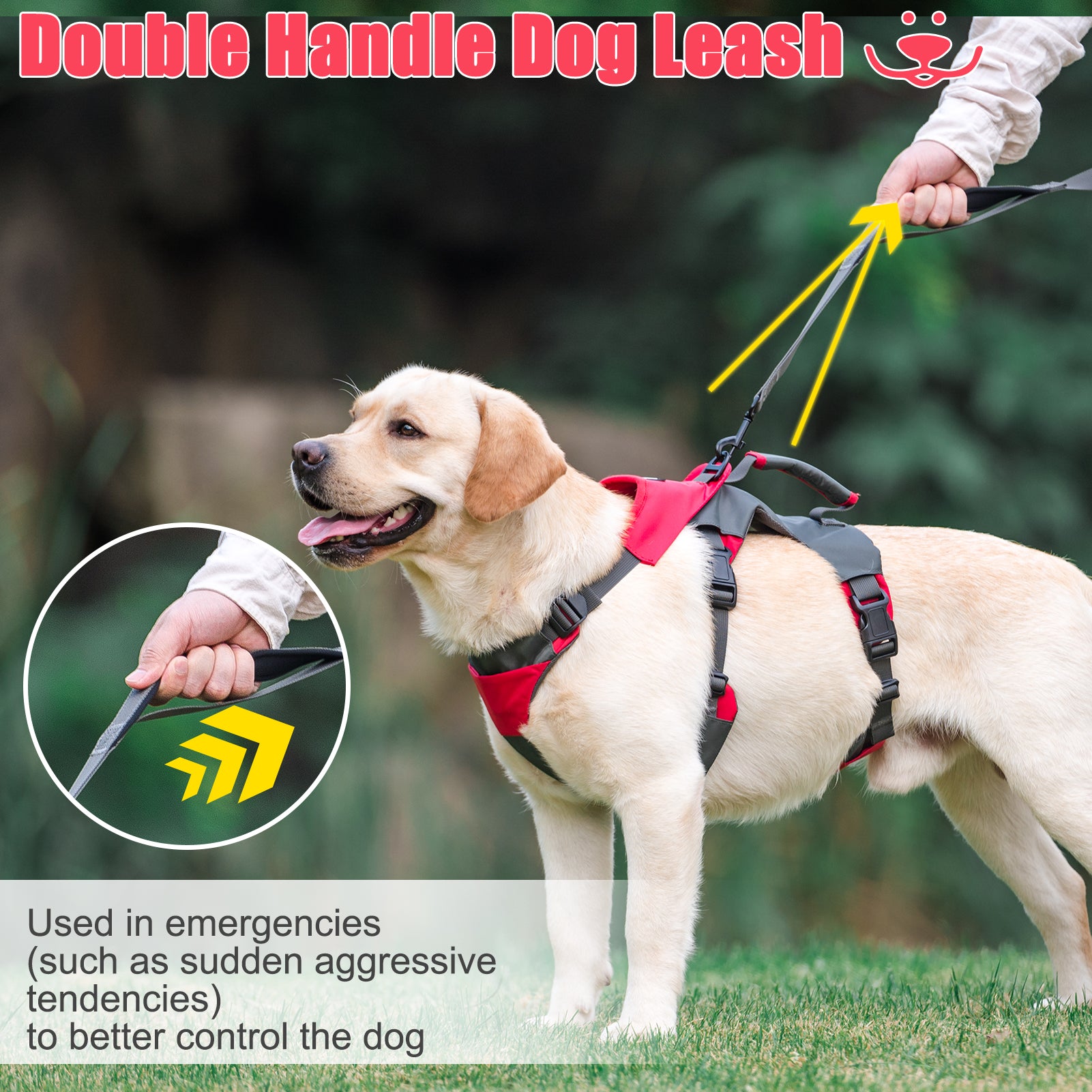 Escape Proof Best Harness For Long Dogs No Pull Dog Harness Escape